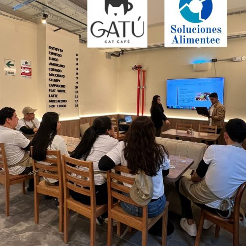 Capacitaciones BPM Gatu